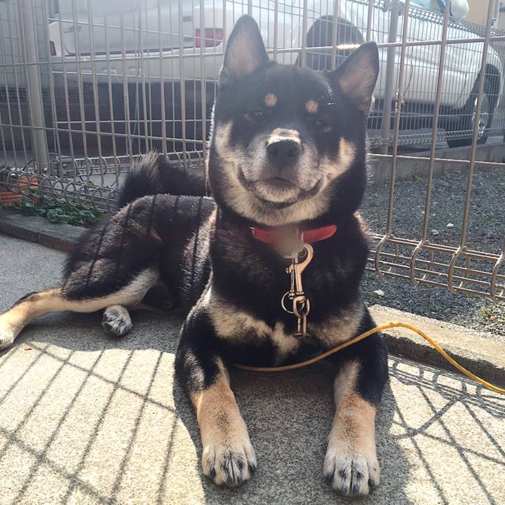 160c592a a3f1 421a 8d64 deab5b7ea7e3 1519715459008