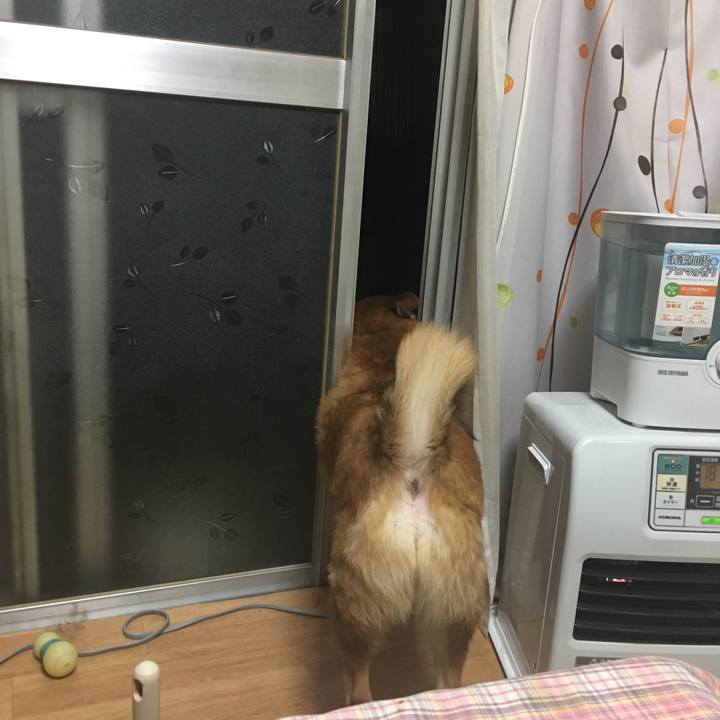 160cc48a 493d 469d 96ed ea75a950c36c 1515495905633