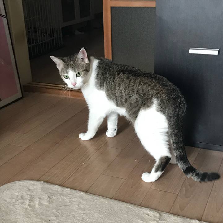 160cd223 34f7 4721 8017 6691595cdf00 1737870386019