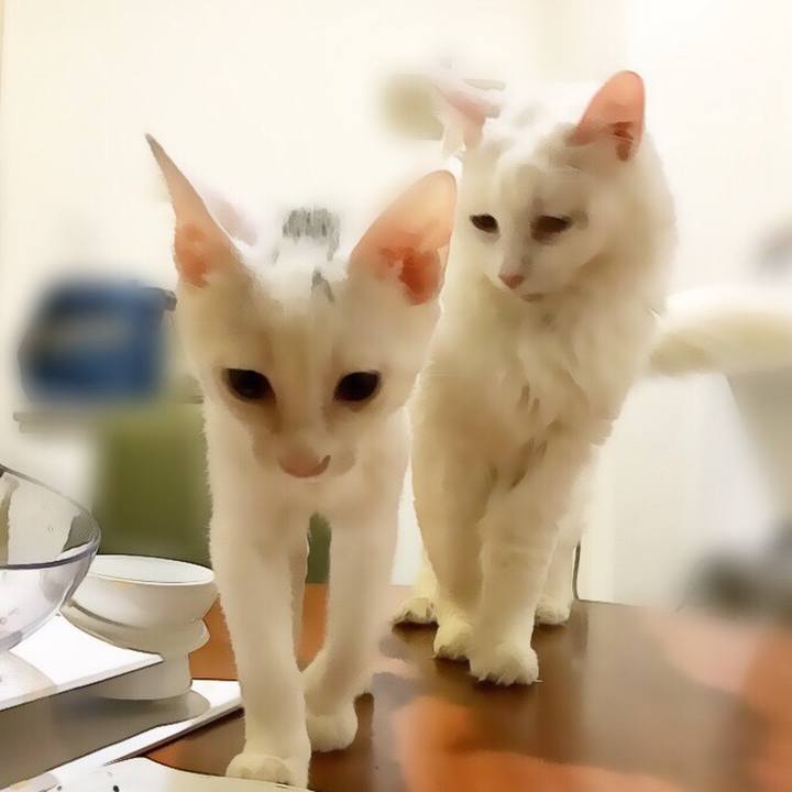 160d5f5a 2fe3 4942 85a0 24983f80b776 1568426558827