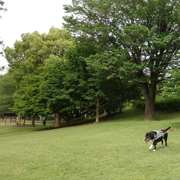 160dfe59 4103 448b 9a81 a4208a2b6602 1747787133970