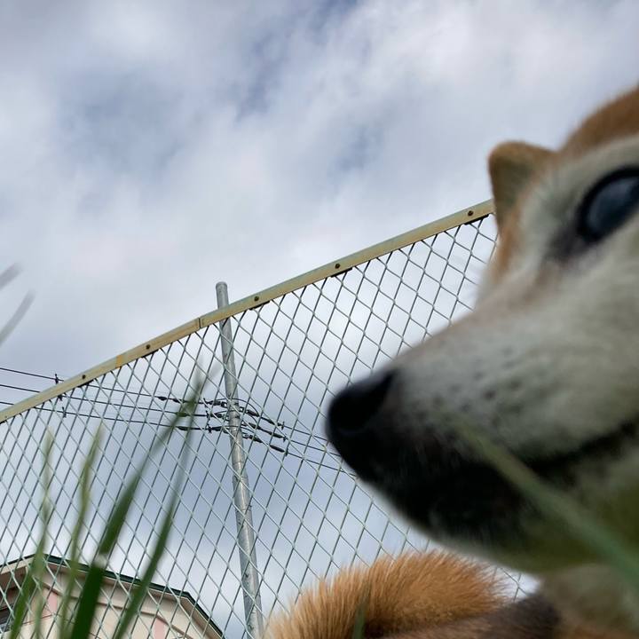 160e0cb9 9704 405b b85a 72116dc22ba3 1716939892132