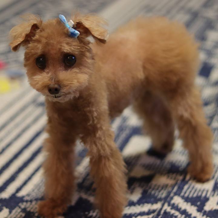 160e2cf6 d3dd 4c56 924c 32b71ac69f22 1619878605832