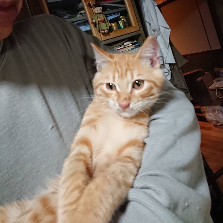 160e3a63 175e 4cd5 b34e 415b50a23134 1633348049883