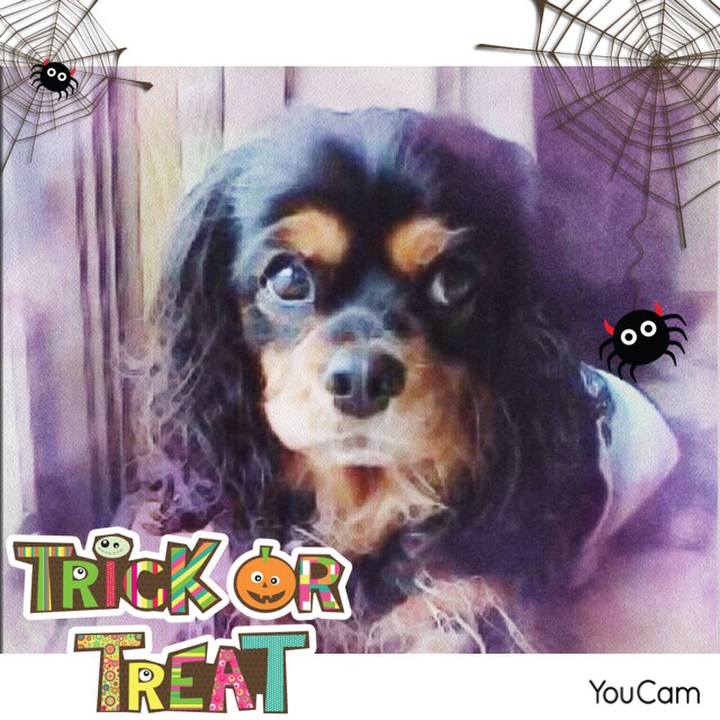 160e6bf3 15d5 49a2 8867 6a06985a926c 1538994131331