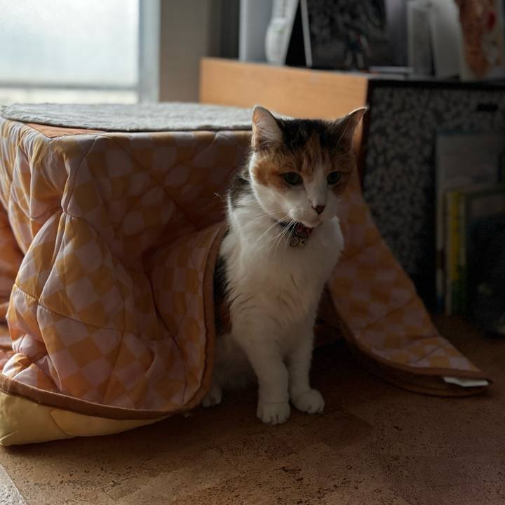 160e9b87 b323 4e5c a391 60569b6581b2 1710889953242