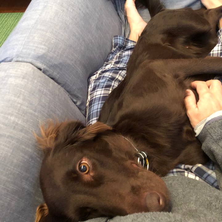 160ed318 dfd5 4e56 b1bc c5f7e8a8b471 1575499413680