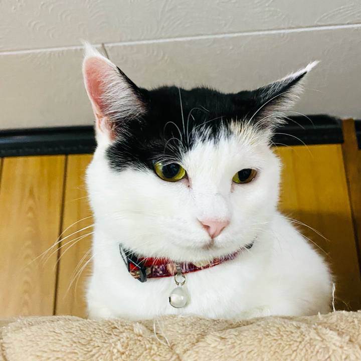 160eee3a f207 44e0 ae98 87c52b83237a 1667252807092