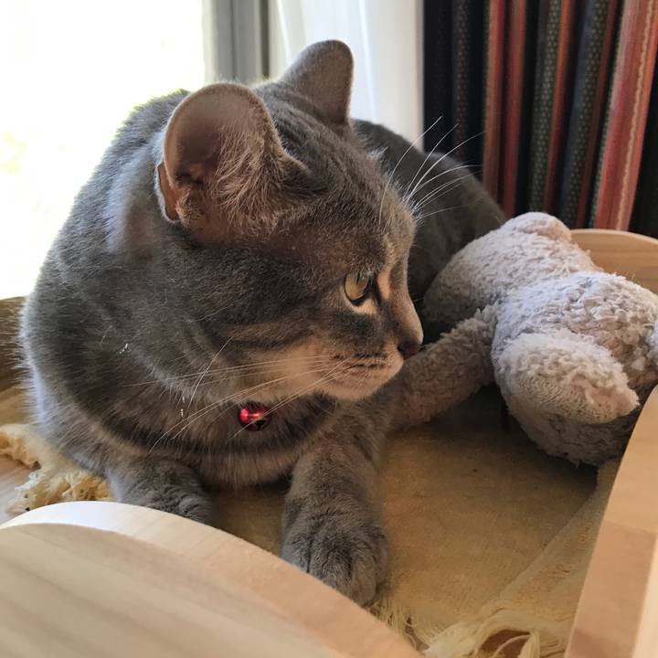 160f2a4e 4883 4f34 b8ea c22aa6a0738b 1593856416499