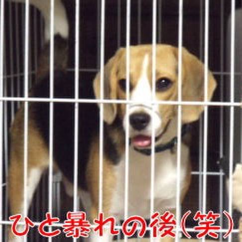 160f600b 5e69 4685 9038 5051d3e2d398 1688688719176