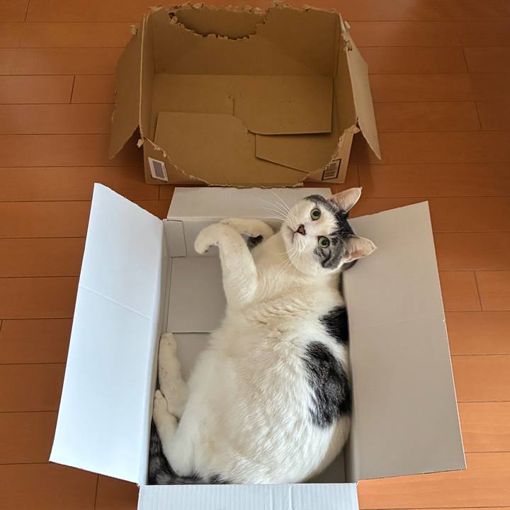 160f823b 43c5 427b b3c5 da2d4af26d8c 1774306443661