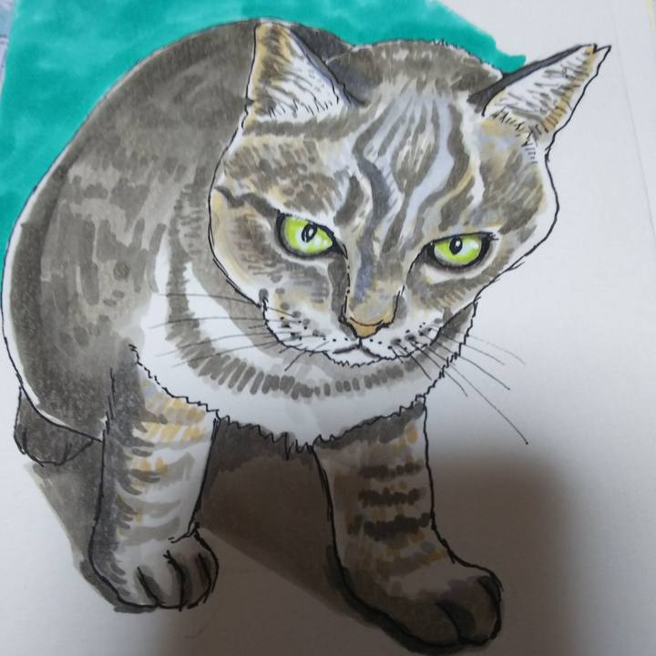 160fb7be 87b3 4f78 a0a1 a97ac2957529 1549717818546