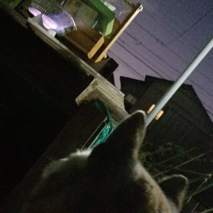 160fcdd8 b750 43bc bf61 77b9eec502de 1641199742186