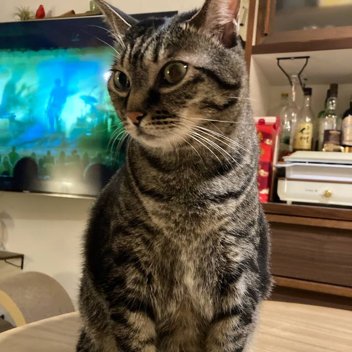 16101ea9 2ace 4b19 9f04 02b5aa860cca 1697112173679