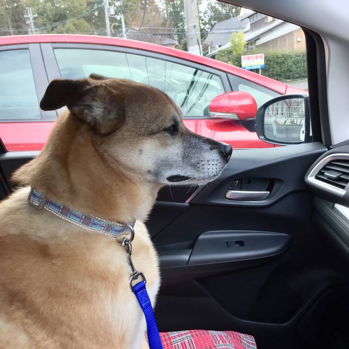 1610403a f6c8 441c b5b6 2fb31079daa0 1552534759252