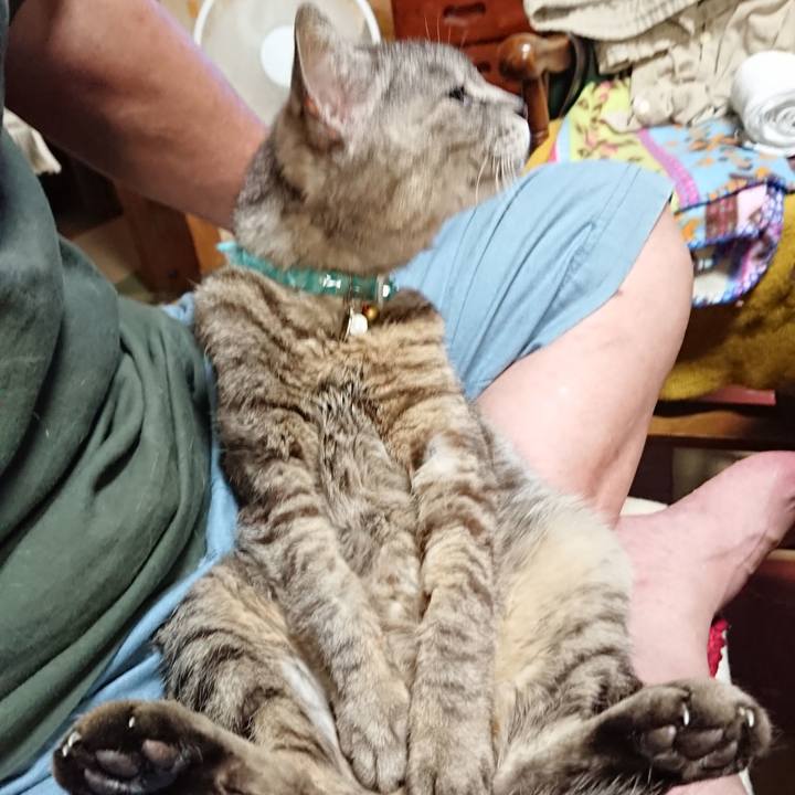 16106cd8 f5d9 4021 9e4f bf47053f7ee7 1564743586145