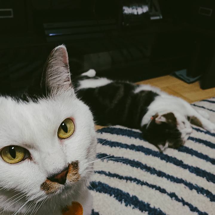 1610d72b a202 48ae b3c8 fcfba2891fa5 1516803289581