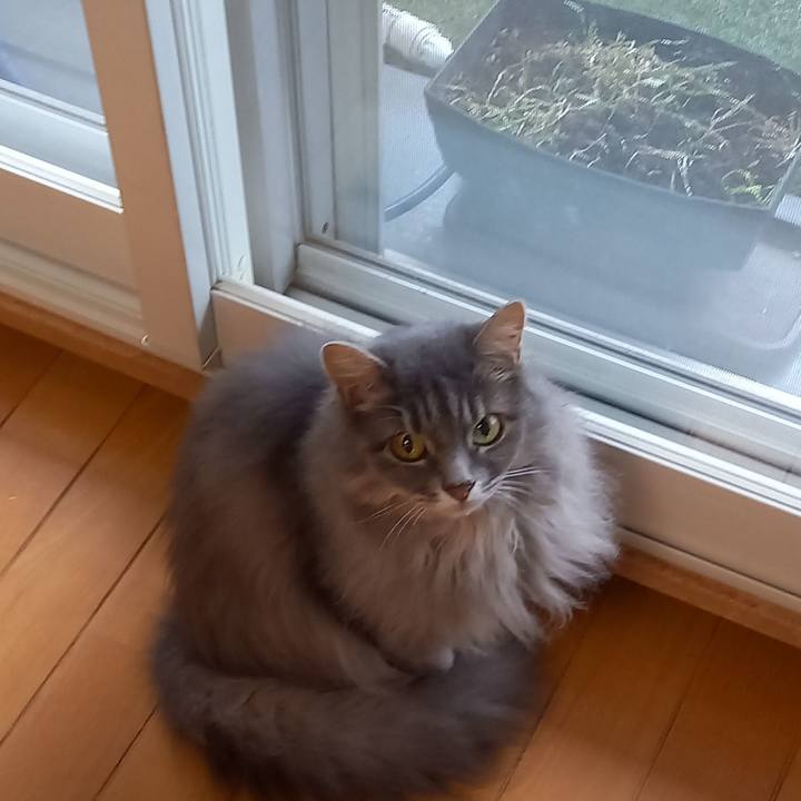 1610df14 b53c 4300 8cbc 5db3afe2d624 1625396825448