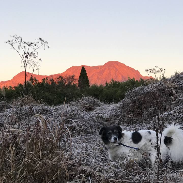 16111023 7d5c 41dc 9990 4c4c8632d99f 1512201702168