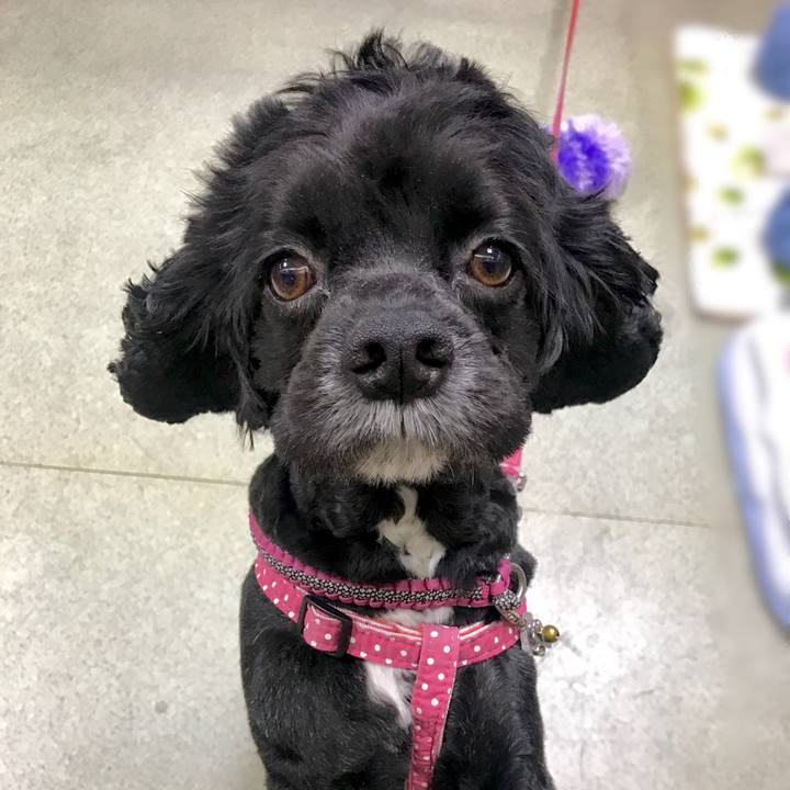 16112b6f 7195 4d99 802b e87fd6d36a48 1559817247623