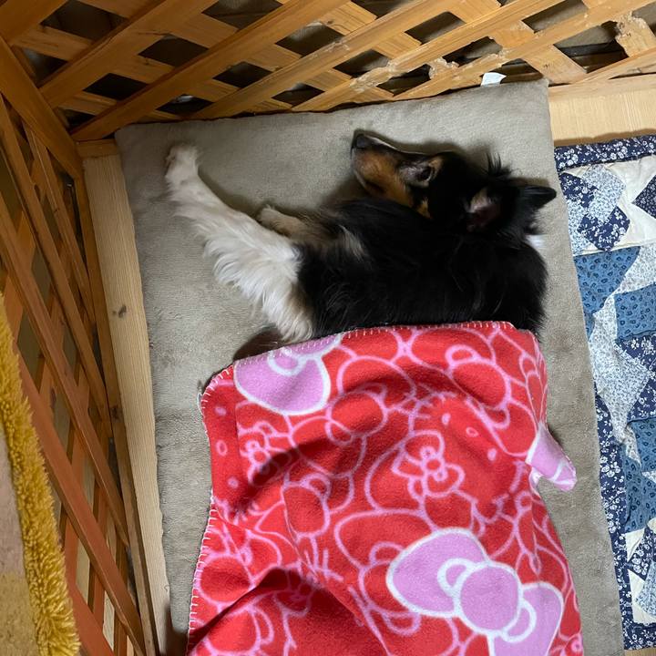 16114f07 3b81 42a4 9e48 63d91ef53f0d 1612359419363