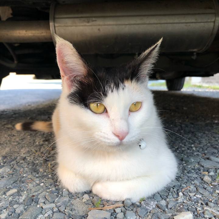 16115183 5b44 4d46 9019 cb085f5f773c 1622241997237