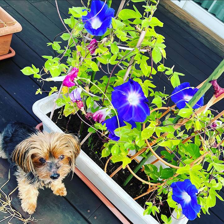 16115cd9 761f 40b8 a6b7 d9ad84a6f5c5 1691962219744