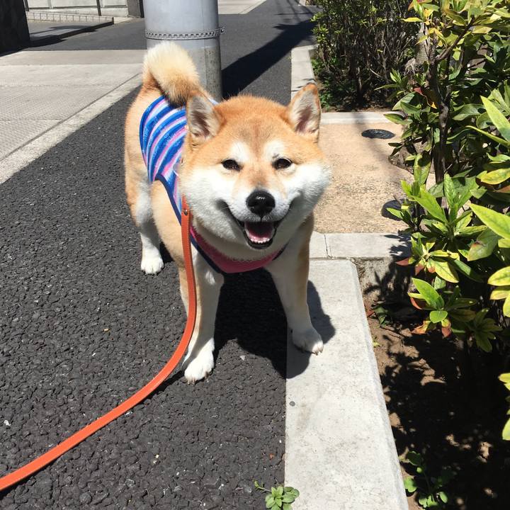 16116a2b 3288 4287 b8bc a74f814dcdb5 1554349101441