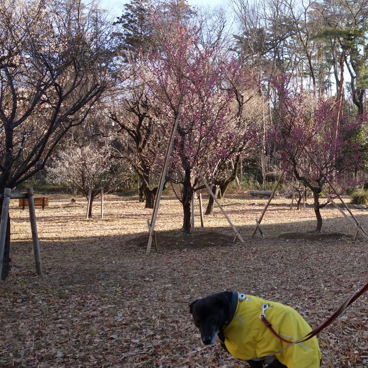 1611920d 4d60 4eb2 a86e 233c7c7d01cd 1740181100424