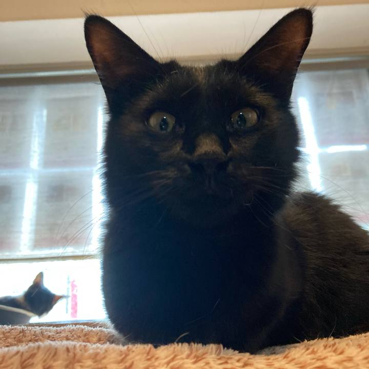 161197a0 2eac 4256 9e2d b377b89709c1 1691728557326