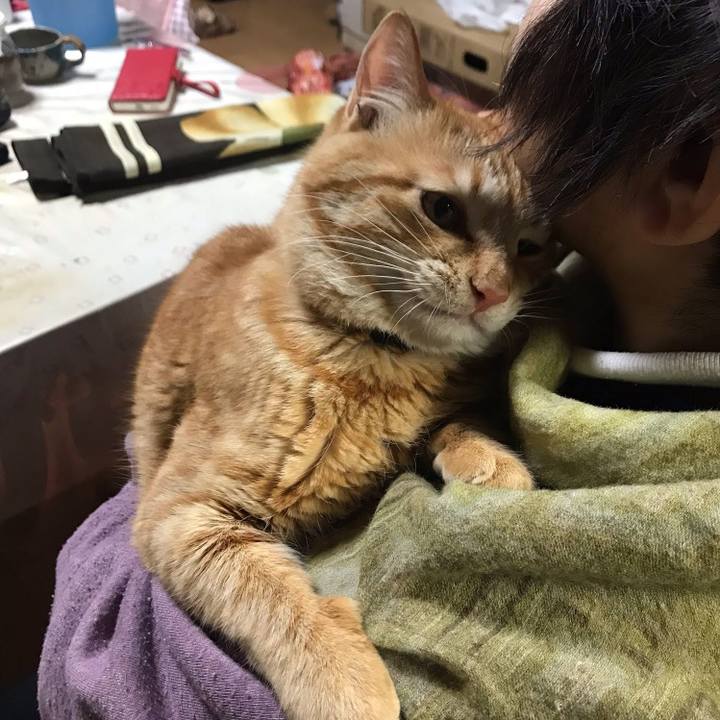 1611b343 b227 41ab 9f85 d08d530a3726 1647815391103