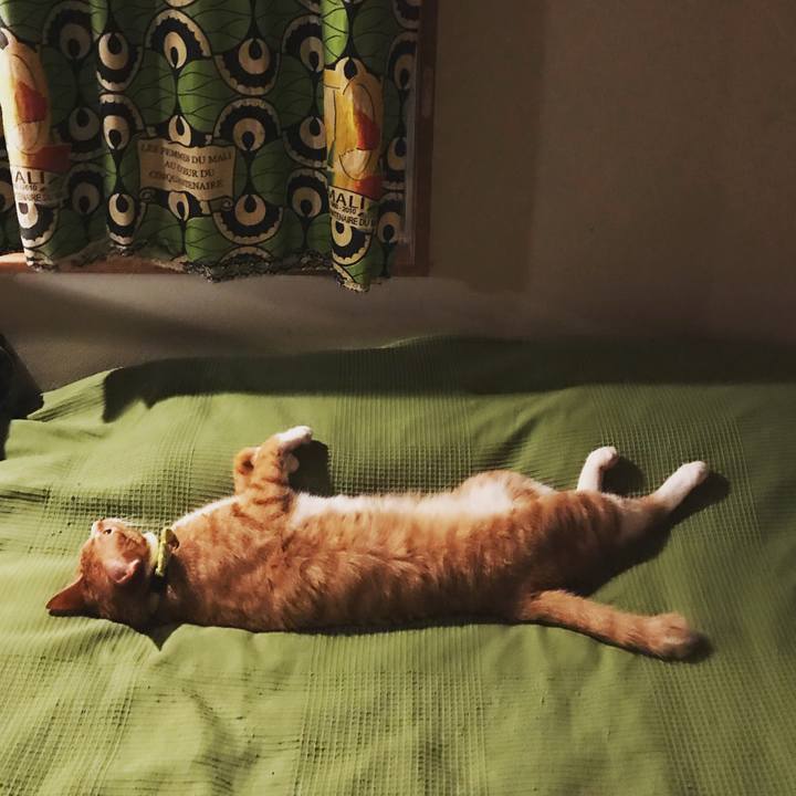 1611c3bc 7f42 4181 ae66 68297fa0e107 1531142633129