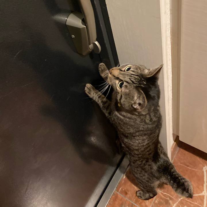 1611e2e0 b71a 4a23 a757 d9476b0fa542 1620212369935