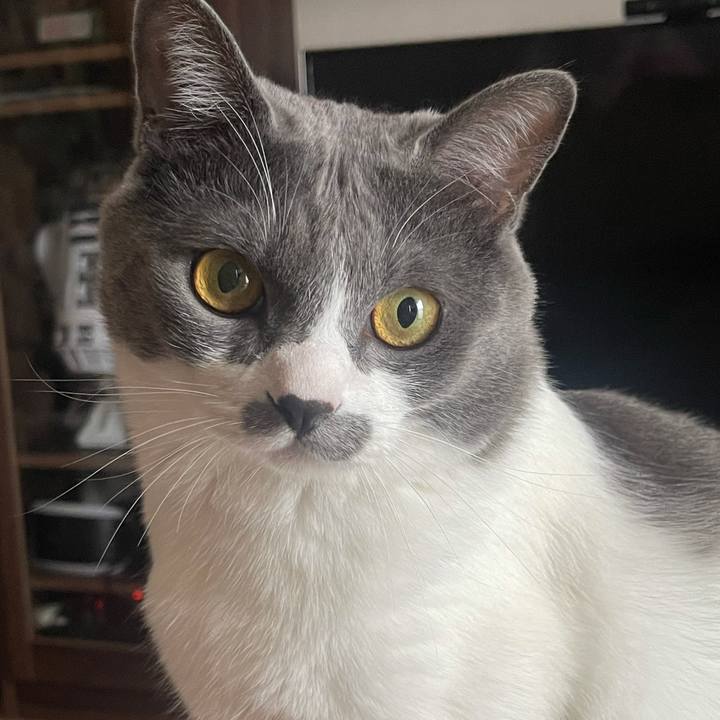 1612080c c171 4148 b0ba dbc57f59fd80 1623908048710