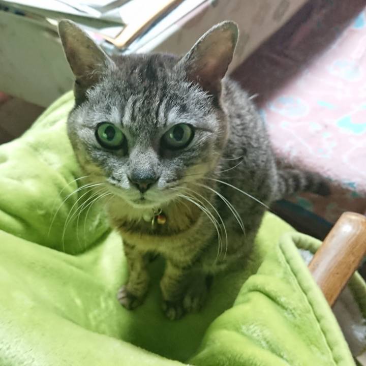 161230ee 34a9 4bd8 955d 909caf0238c3 1590745035214