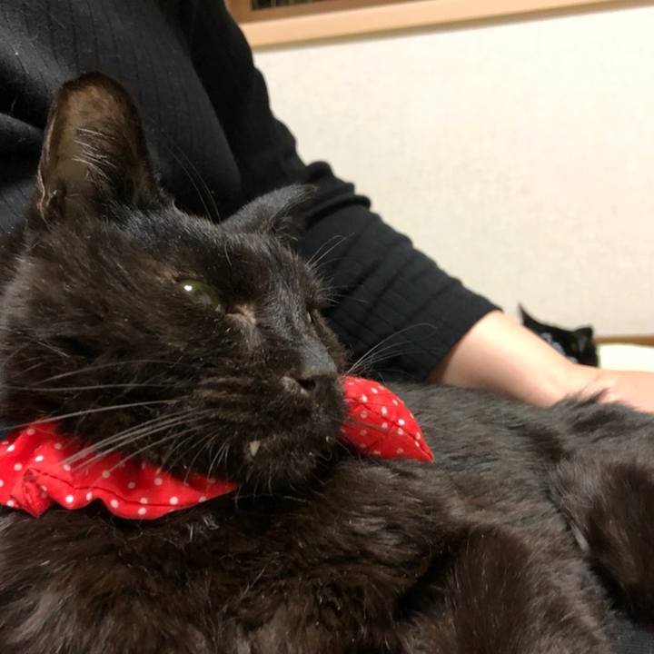 16129247 63ec 46d6 bbfb 8248402e500e 1558649064261