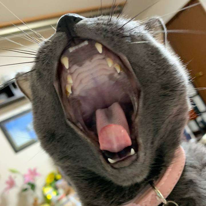 1612c41e 6da6 47b7 bf50 1747af53aefc 1586939856063