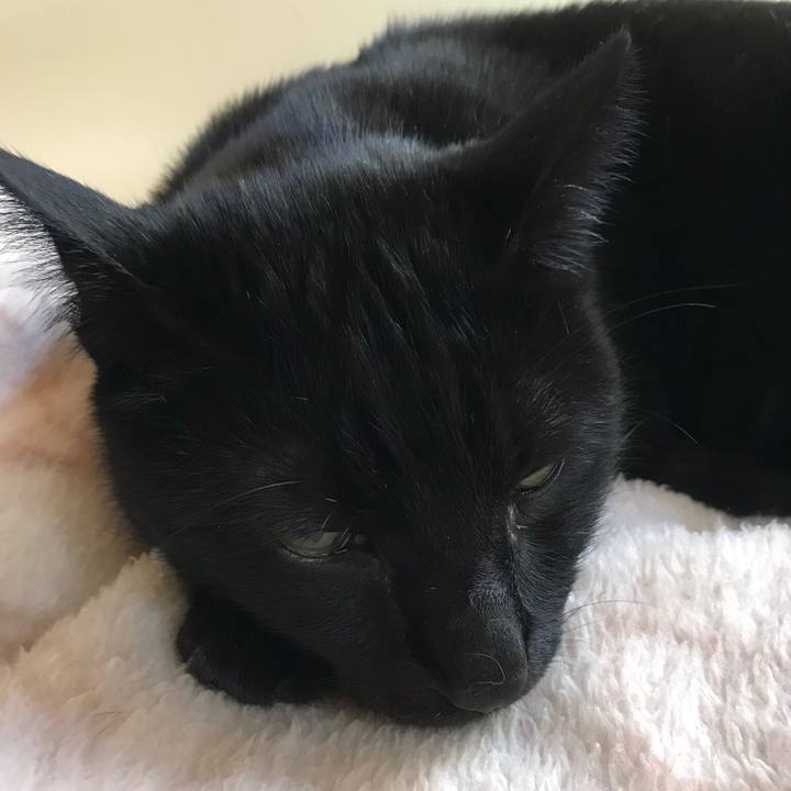 1612d01a d7a5 467b a8a8 98e0386260f4 1512436095249