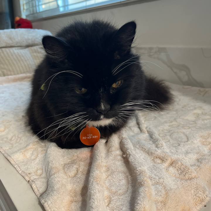 1612eb33 89a7 459c be68 33352f3715f4 1767024958264