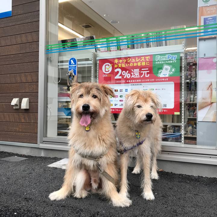 16132699 ba07 41ea 9b8a 60b6cdec3c6e 1570418841114