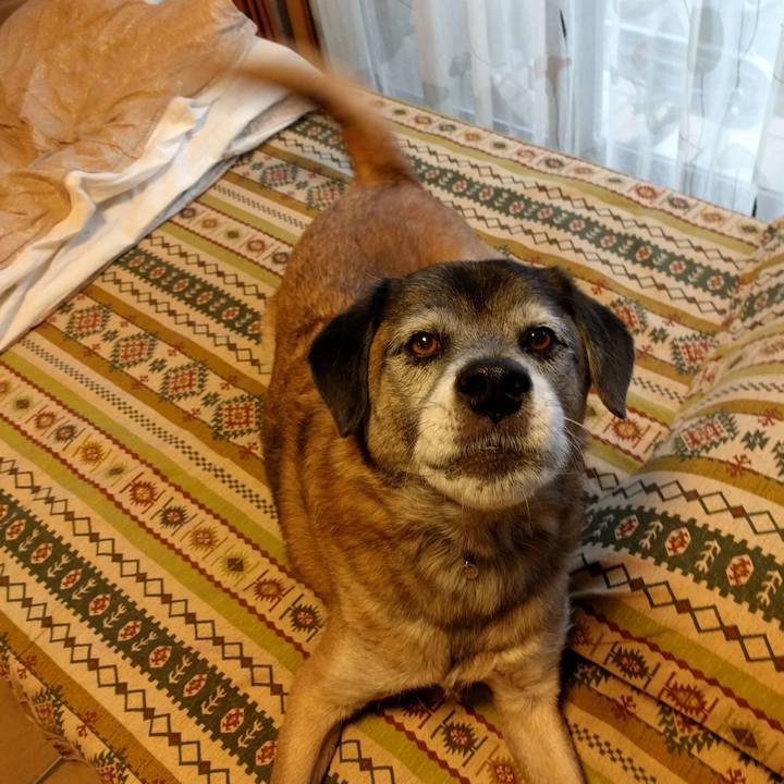 1613bd0e 323b 4655 8b0c e3c27f52f377 1512546930176