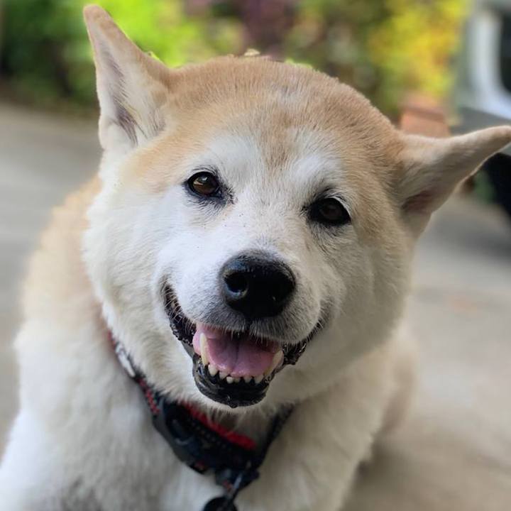 1613c377 f00c 4be6 9dde 2151cca8ede3 1692862308251