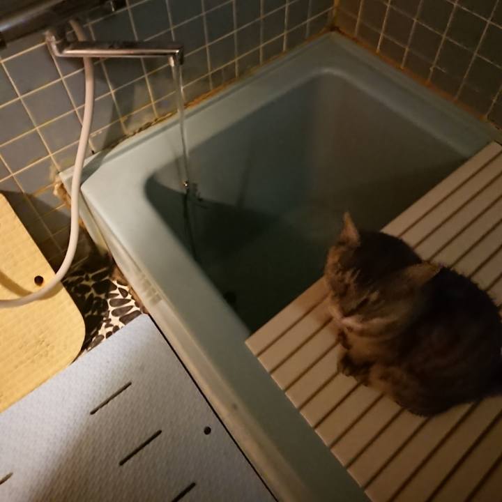 16143756 ed33 4531 a327 f9b7cdfa6023 1570009022594