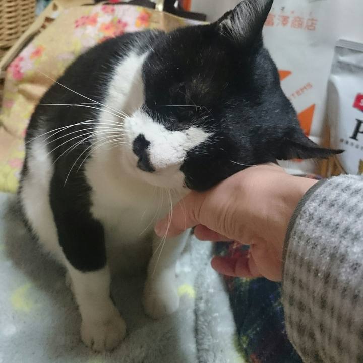 16143767 136f 465c a07e 28240d319146 1515453418780