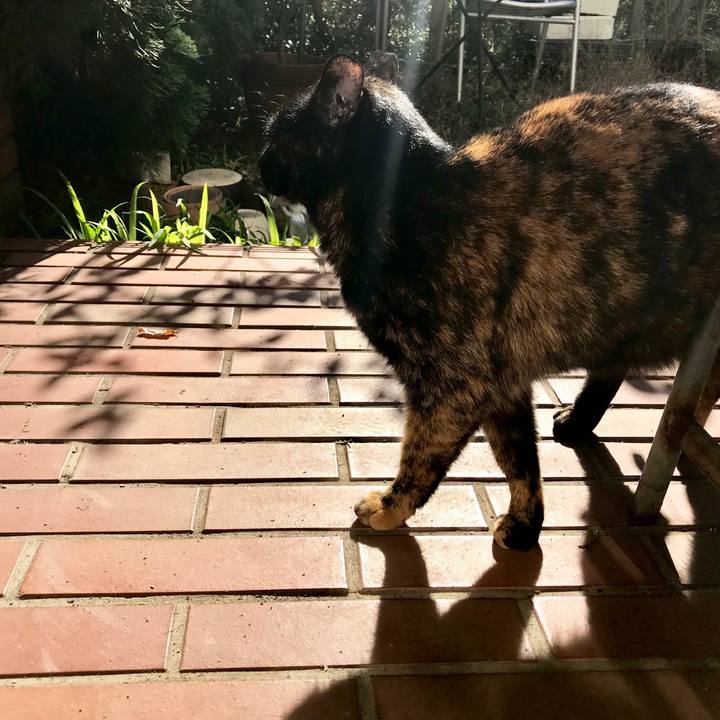 16144227 9299 40b9 8d7b a432f689c03e 1512970181336