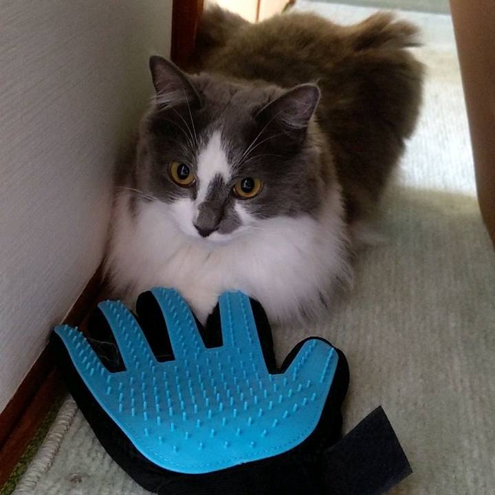 16144faf a7da 4095 ac0e 37b49eca73d4 1595138165500