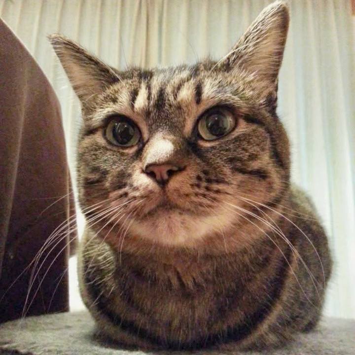 16148dbf 85b0 4f0d 86fa 2efbbca4e7c2 1763678469433