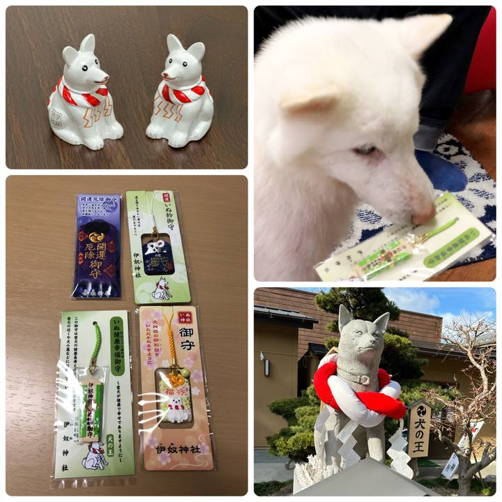 16151715 61ce 4364 93b0 b9cd9bfabc91 1675147304018