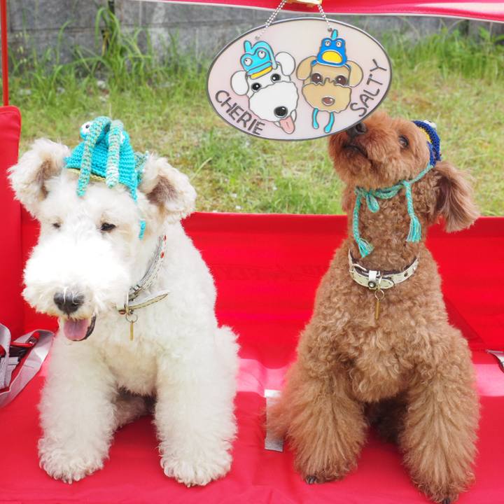 16151767 f953 448b 94a8 b1c6173b3c6c 1560049023290