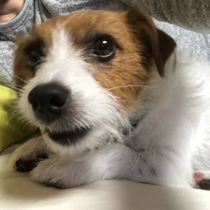 161535e4 cf12 4b35 aa2a a234ffc6cb9b 1540817898553